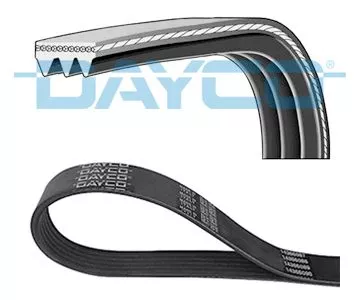 V-ribbed Belt DAYCO 3PK576EE)