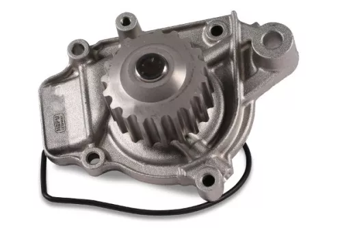 Water Pump, engine cooling  P046)