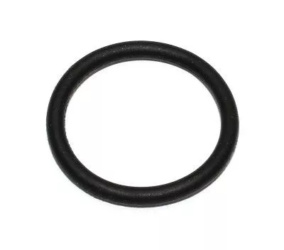 Seal Ring ELRING 163.480)