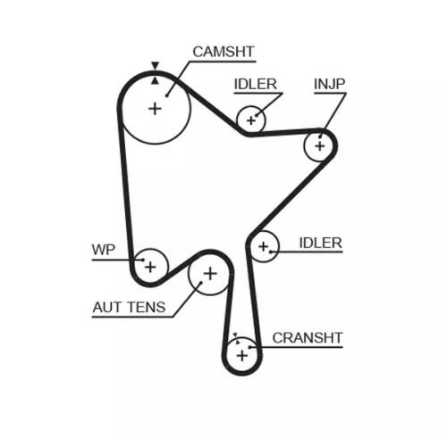 Timing Belt GATES 5686XS)