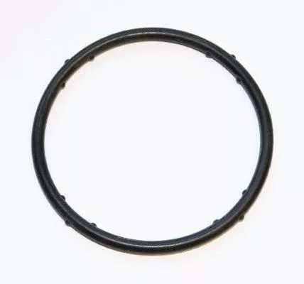 Gasket, coolant flange ELRING 625.270)