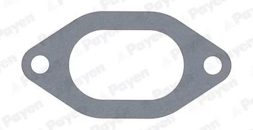 Gasket, intake manifold PAYEN JC054)