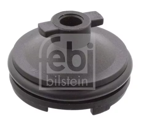 Screw Plug, oil sump FEBI BILSTEIN 106566)