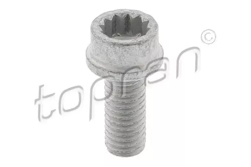 Pulley Bolt TOPRAN 119 765)