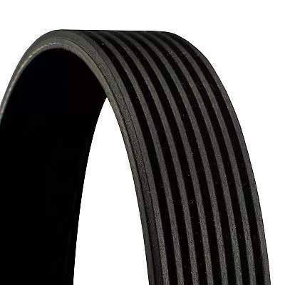 V-ribbed Belt CONTINENTAL CTAM 8PK2120)