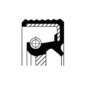 Shaft Seal, crankshaft CORTECO 49105307)