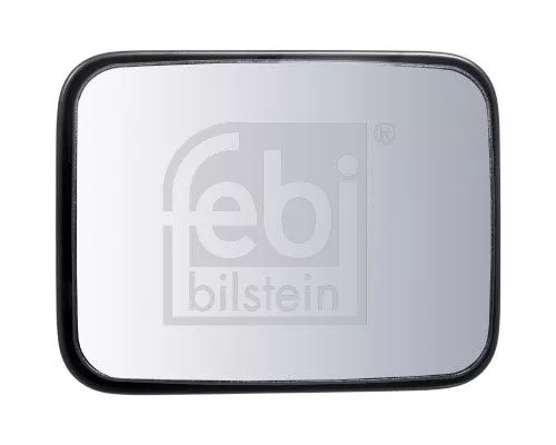 Wide-Angle Mirror FEBI BILSTEIN 100897)