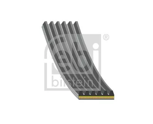 V-ribbed Belt FEBI BILSTEIN 185005)