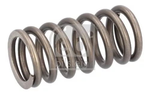 Valve Spring FEBI BILSTEIN 188163)
