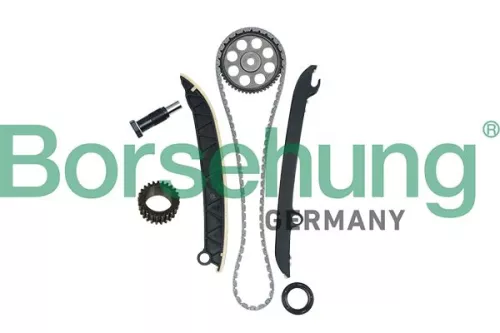 Timing Chain Kit Borsehung B16297)