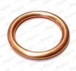 Seal Ring, oil drain plug PAYEN PB907)