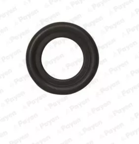 Seal Ring, oil drain plug PAYEN LA5238)
