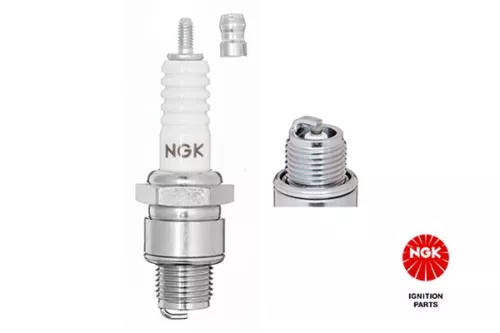 Spark Plug LPR 2399)