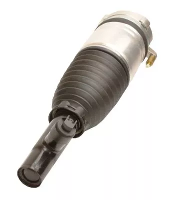 Air Suspension Strut  11-1231)