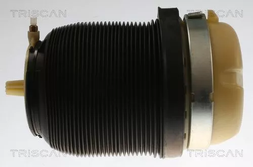 Air Spring, suspension TRISCAN 8720 29202)
