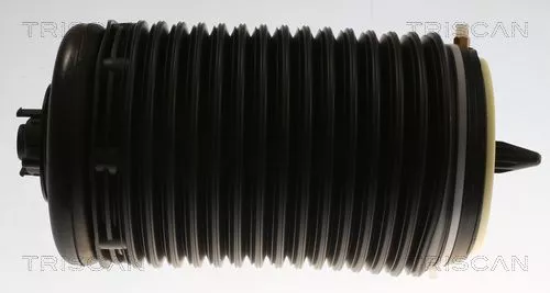 Air Spring, suspension TRISCAN 8720 29204)